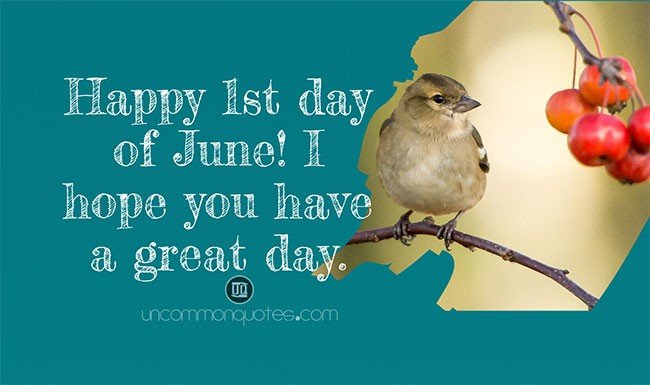 Happy June Sayings