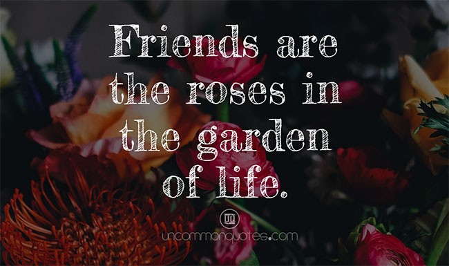 friendship day wishes for best friend friendship day wishes for best friend