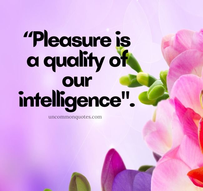 Quotes About Pleasure of Life and Happiness