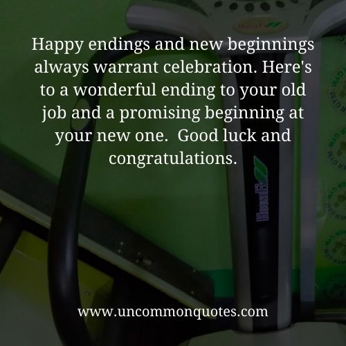 congrats on your new chapter congrats on your new chapter