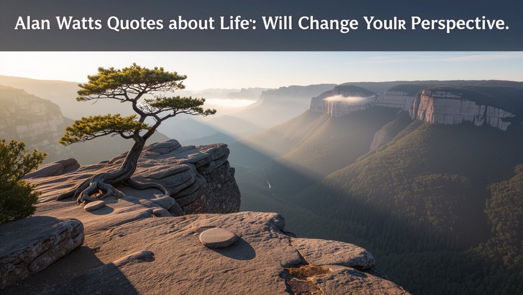 embrace life s spontaneous journey