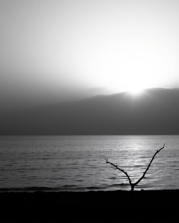 embrace new beginnings daily