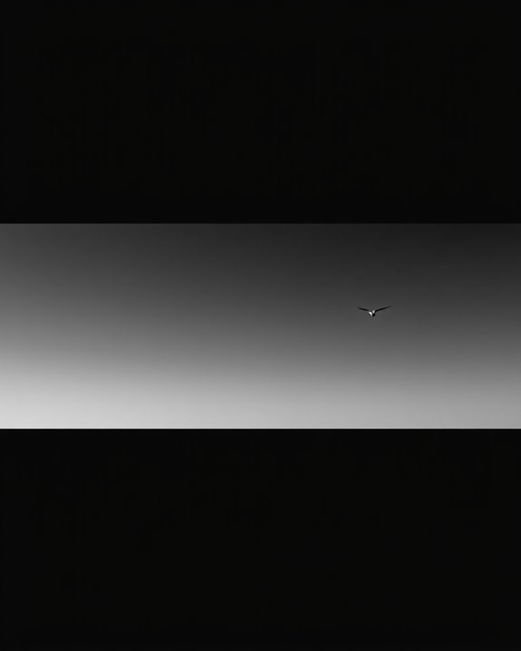 hopeful inspiration from skies