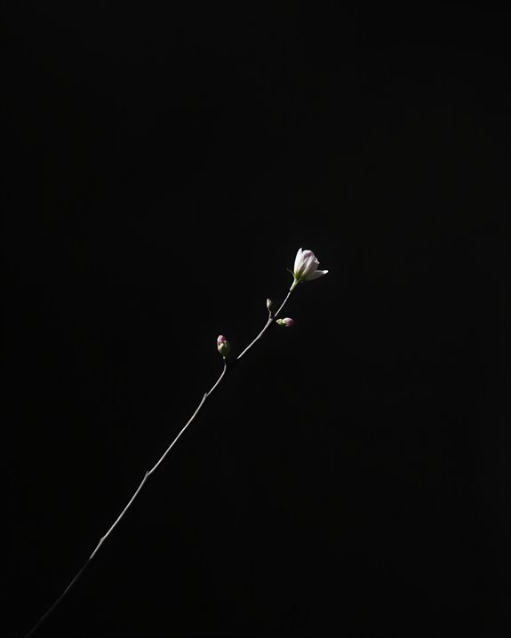 may brings fresh inspiration