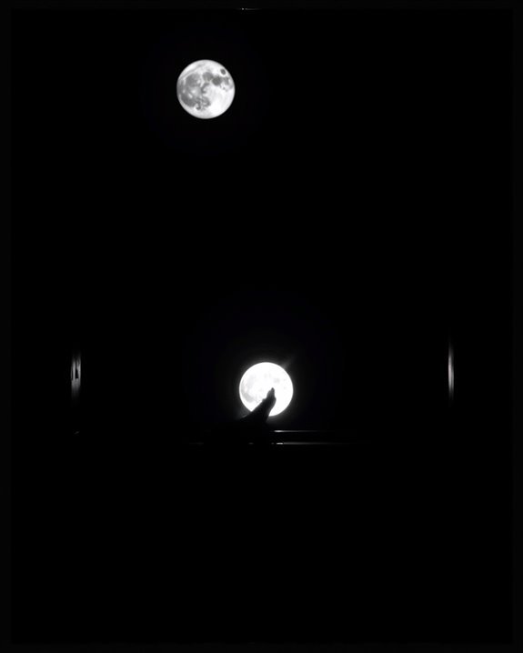 moonlit love whispers secrets