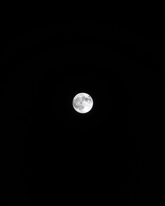 morning moon s gentle beauty